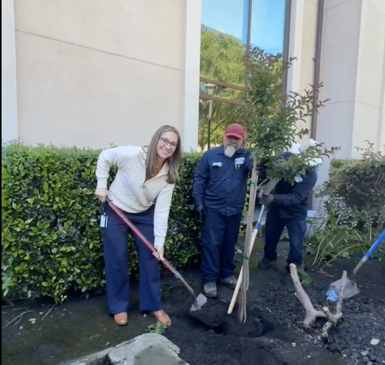 Arbor Day 2026: Staff with shovel planting a tree next to a Facilities employee
